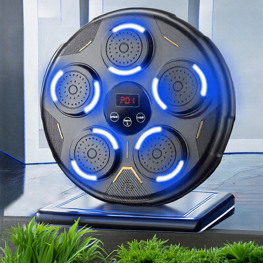 boxing training target