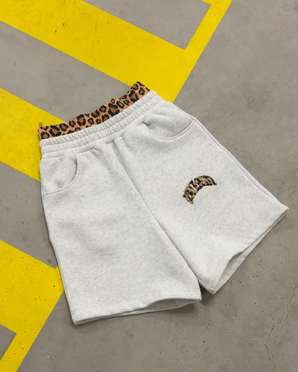 Streetwear Hooded Sweatshirt Set with Leopard Embroidery