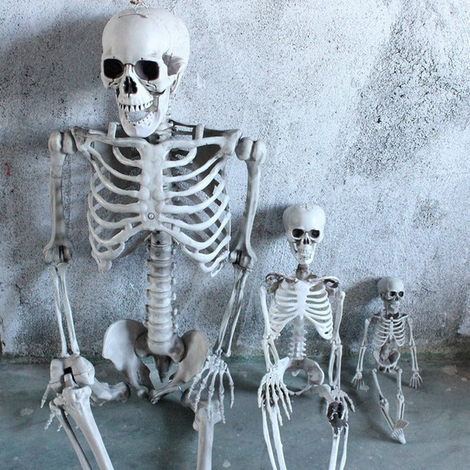 Skeleton for Halloween Haunted House Decoration