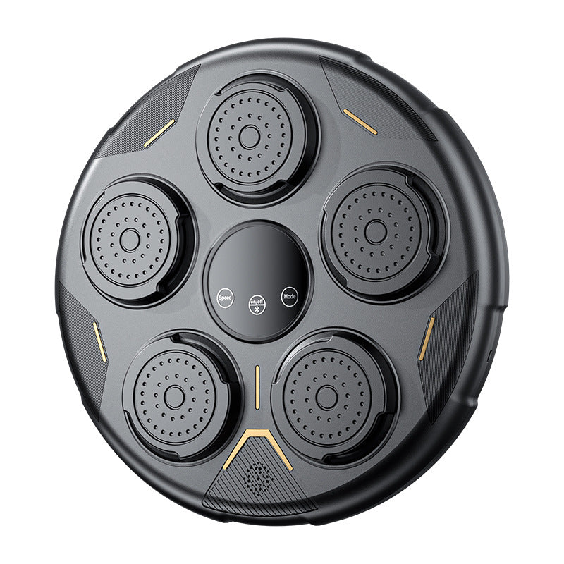 boxing training target