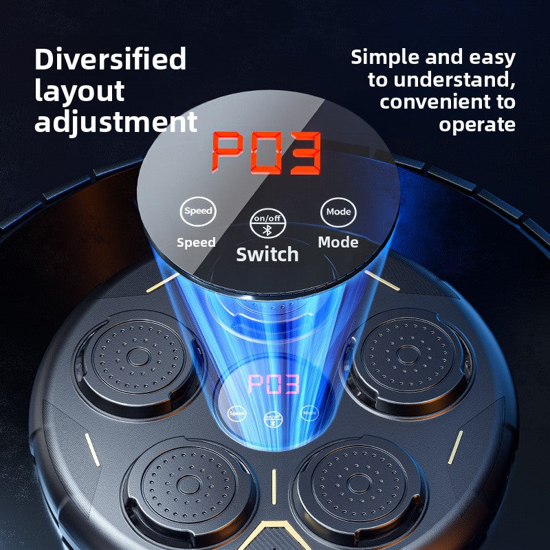 boxing training target