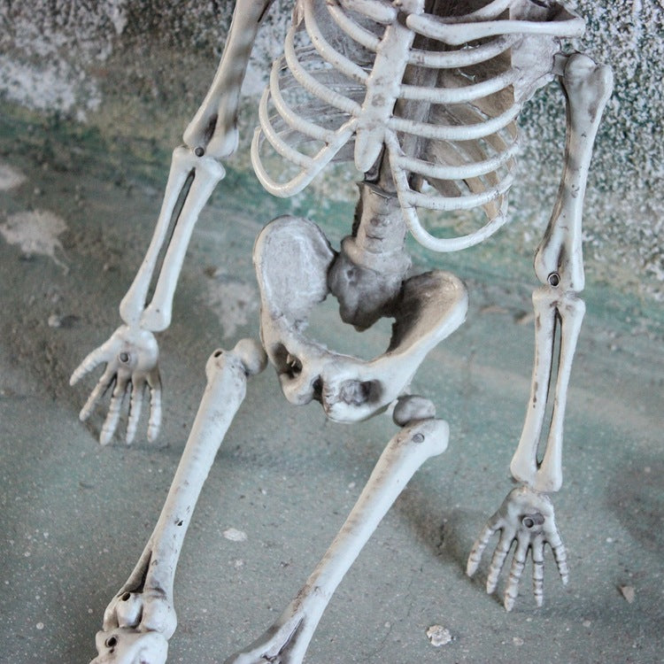 Skeleton for Halloween Haunted House Decoration
