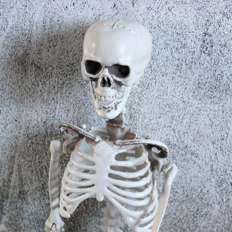 Skeleton for Halloween Haunted House Decoration