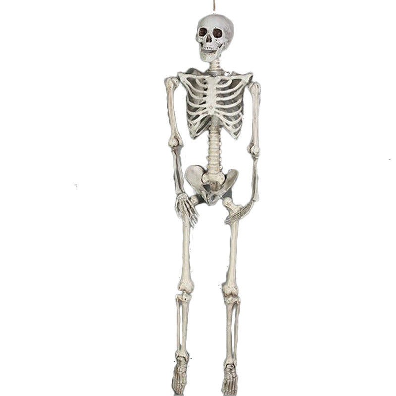 Skeleton for Halloween Haunted House Decoration