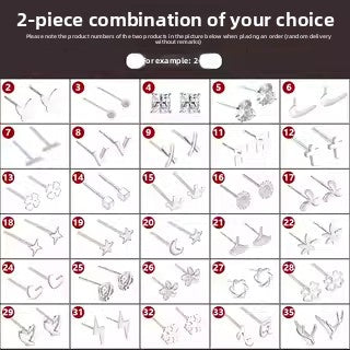 Sterling Silver Earrings for Women, Hypoallergenic Studs and Ear Sticks