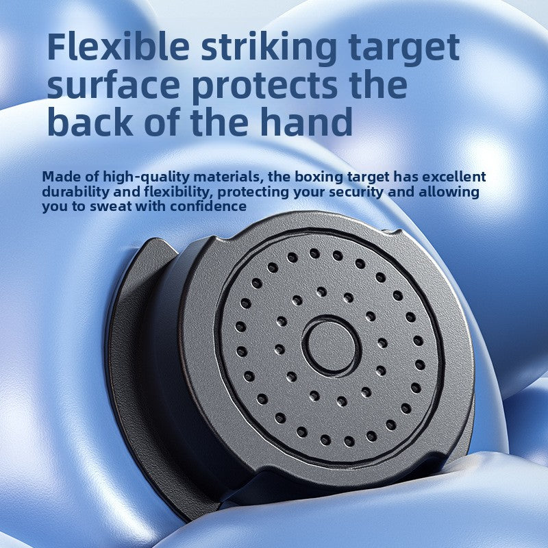 boxing training target